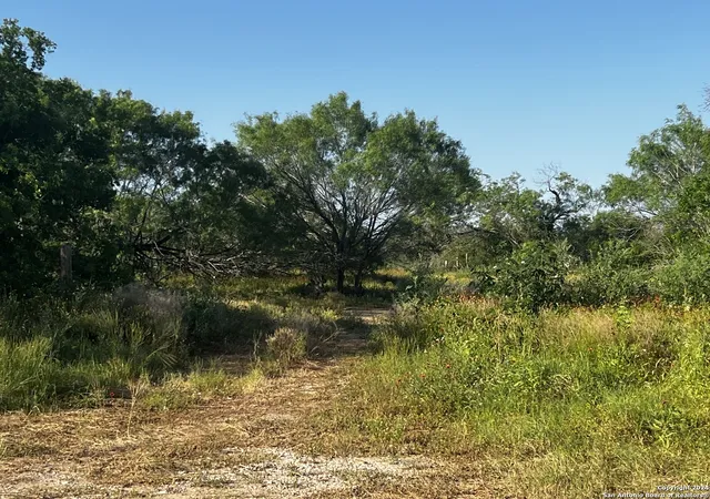 Photo 4 of Land for sale at 521 County Road 7713 #2, Devine, TX 78016 | MLS# 1768238 | Listing updated on 2025-10-12