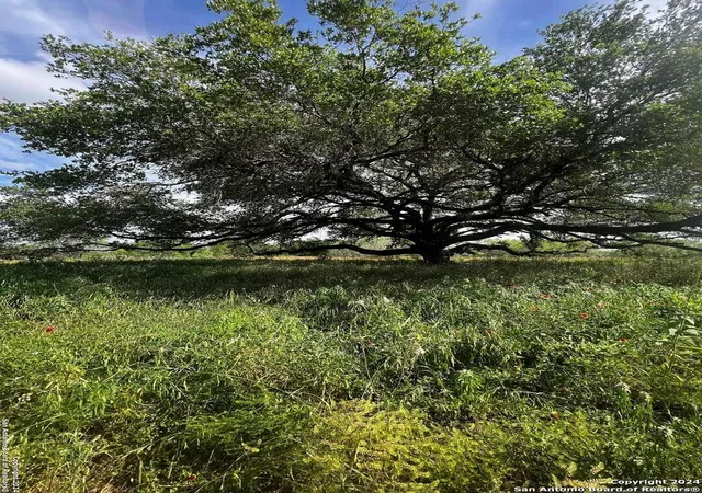 Photo 1 of Land for sale at 521 County Road 7713 #2, Devine, TX 78016 | MLS# 1768238 | Listing updated on 2025-10-12