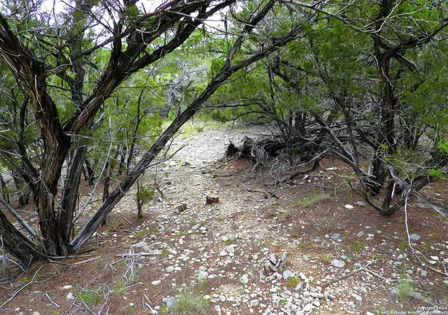 2nd image of Tbd Park Road 37, Lakehills, TX 78063 | MLS# 1768614