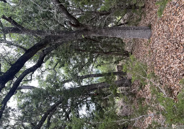 Photo 2 of Land for sale at 737 Caballo Trail, Canyon Lake, TX 78133 | MLS# 1770283 | Listing updated on 2026-06-24
