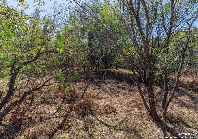4th image of 3597 Baker, Kingsbury, TX 78638 | MLS# 1774559