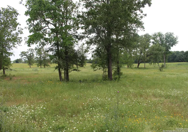 17th image of Tbd Fm 2438, Seguin, TX 78155 | MLS# 1774981