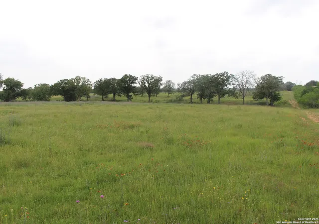 2nd image of Tbd Fm 2438, Seguin, TX 78155 | MLS# 1774981