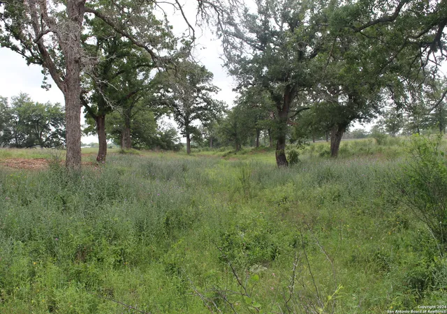 3rd image of Tbd Fm 2438, Seguin, TX 78155 | MLS# 1774981