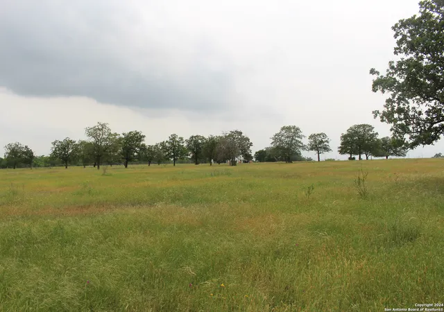 5th image of Tbd Fm 2438, Seguin, TX 78155 | MLS# 1774981
