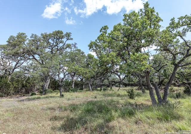 Photo 1 of Land for sale at 664 Annabelle Ave, Bulverde, TX 78163 | MLS# 1779185 | Listing updated on 2025-12-27