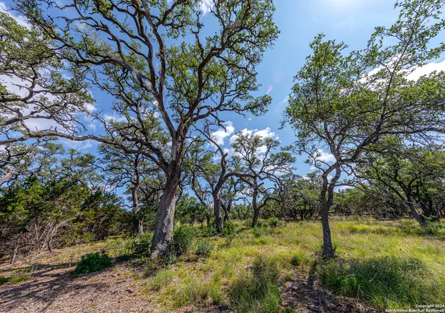 Photo 3 of Land for sale at 664 Annabelle Ave, Bulverde, TX 78163 | MLS# 1779185 | Listing updated on 2025-12-27