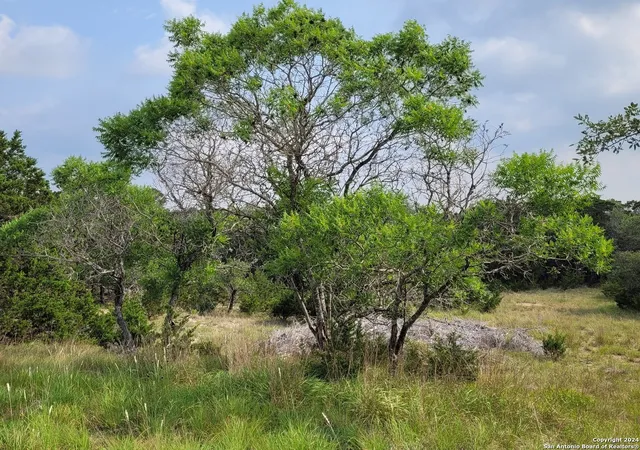 2nd image of Lots #14 & #15 Lakewood Dr, Lakehills, TX 78063 | MLS# 1780059