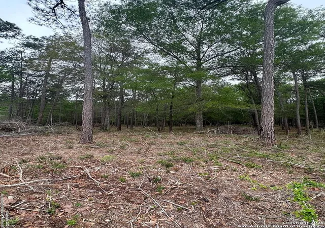 5th image of 1035 Cub Dr, Kountze, TX 77625 | MLS# 1780594
