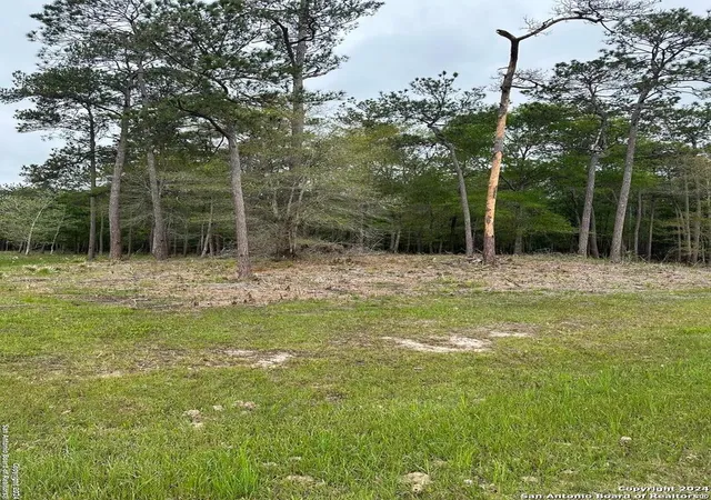 2nd image of 1035 Cub Dr, Kountze, TX 77625 | MLS# 1780594