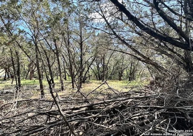 Photo 1 of Land for sale at 0000 Forest Lake Dr, Spring Branch, TX 78070 | MLS# 1782467 | Listing updated on 2025-03-16