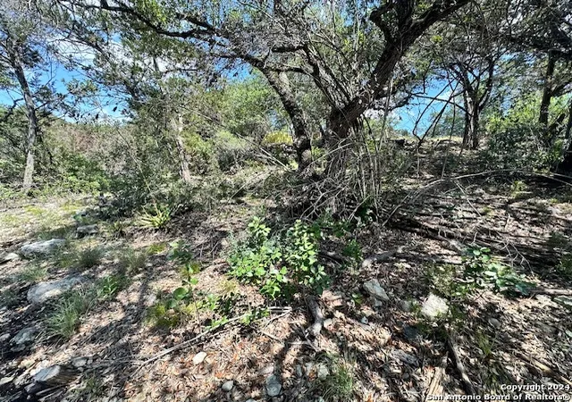 Photo 1 of Land for sale at 0000 Forest Lake Dr, Spring Branch, TX 78070 | MLS# 1782467 | Listing updated on 2025-03-16