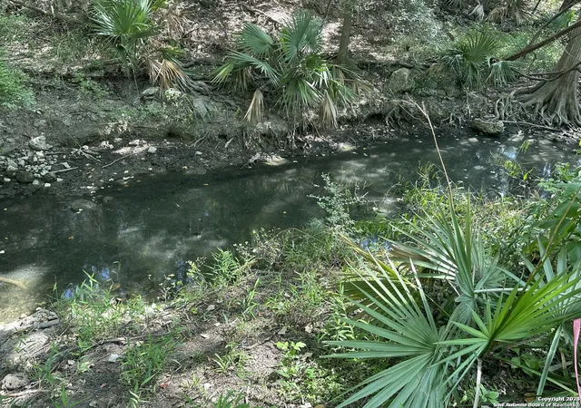 Photo 2 of Land for sale at 0000 Forest Lake Dr, Spring Branch, TX 78070 | MLS# 1782467 | Listing updated on 2025-03-16