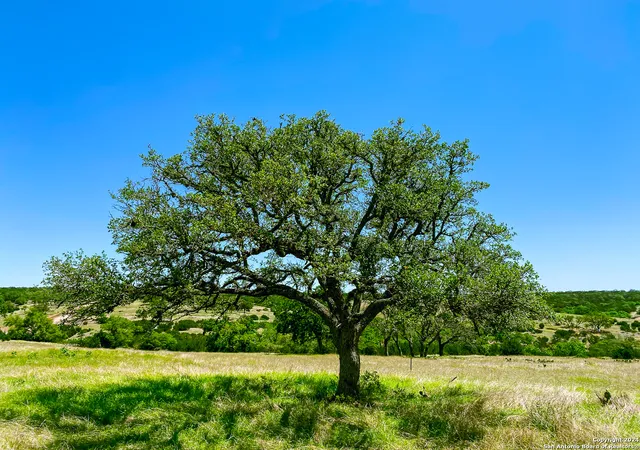 Land for sale at Lot 124 Loma Vista Ranch, Kerrville, TX 78028 | MLS# 1788105