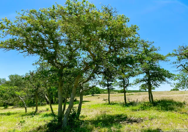 Photo 1 of Land for sale at Lot 124 Loma Vista Ranch, Kerrville, TX 78028 | MLS# 1788105 | Listing updated on 2025-08-12