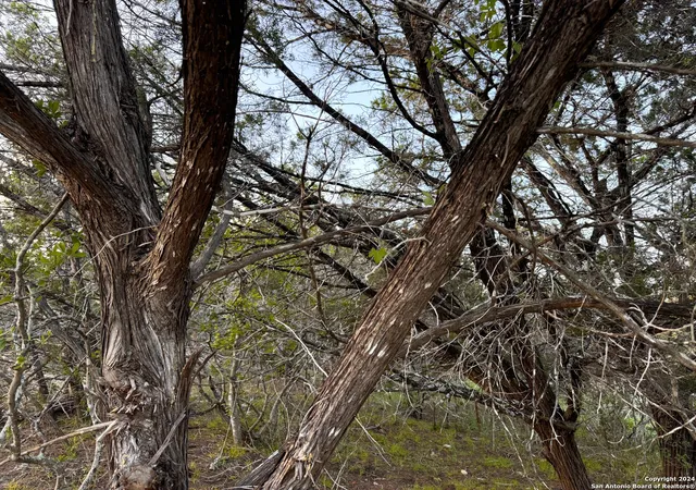 Photo 2 of Land for sale at 985 Oblate Dr, Canyon Lake, TX 78133 | MLS# 1790624 | Listing updated on 2026-08-03