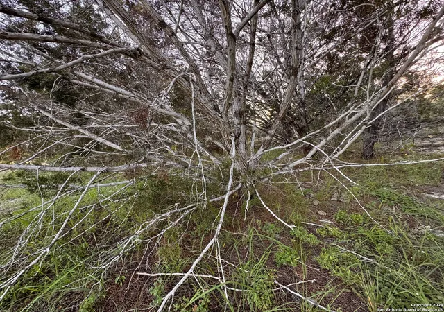 Photo 3 of Land for sale at 985 Oblate Dr, Canyon Lake, TX 78133 | MLS# 1790624 | Listing updated on 2026-08-03