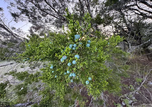 Photo 2 of Land for sale at 1001 Oblate Dr, Canyon Lake, TX 78133 | MLS# 1790625 | Listing updated on 2026-08-03