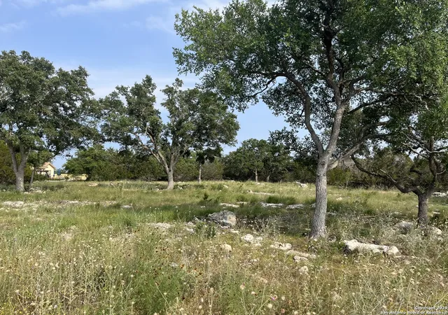 Photo 2 of Land for sale at 133 Macaw Lane, Spring Branch, TX 78070 | MLS# 1791203 | Listing updated on 2026-01-02