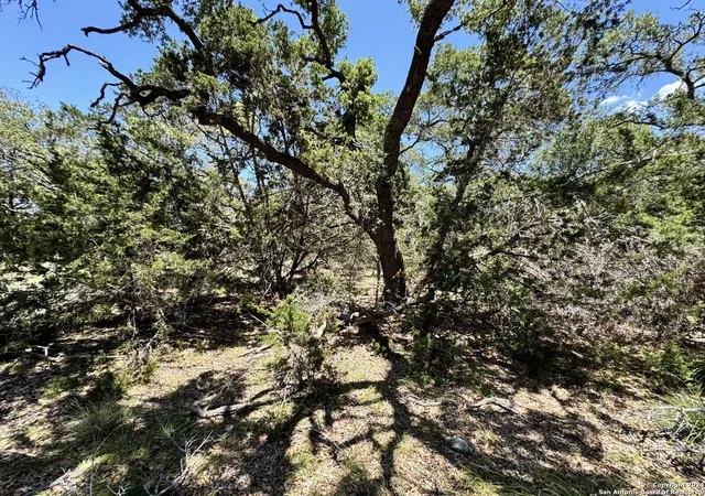 Photo 3 of Land for sale at 854 Maximino Ridge, Bulverde, TX 78163 | MLS# 1792453 | Listing updated on 2026-07-13