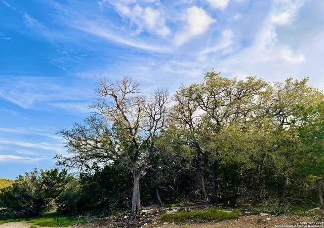2nd image of 296 Restless Wind, Spring Branch, TX 78070 | MLS# 1792809
