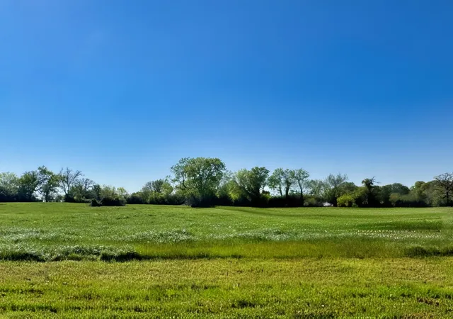 Homes for sale in Iola, TX | Lot 37 Panther Ridge Dr, Iola, TX 77861 | MLS# 1793787