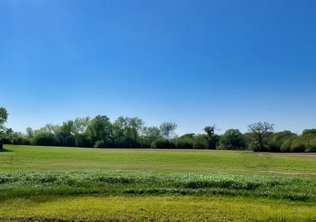Homes for sale in Iola, TX | Lot 38 Panther Ridge Dr, Iola, TX 77861 | MLS# 1793788