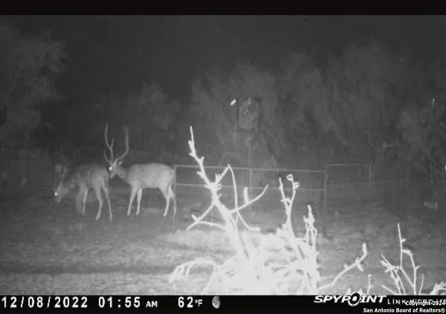 56th image of 3668 W Us Hwy 90, Uvalde, TX 78801 | MLS# 1793838