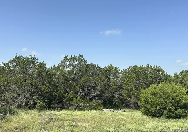 2nd image of 1231 Mystic Shores Blvd, Spring Branch, TX 78070 | MLS# 1797972