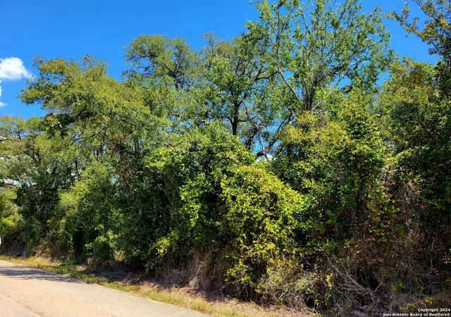 11th image of Tbd Dale Ln, Dale, TX 78616 | MLS# 1805833
