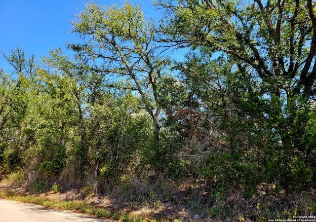 3rd image of Tbd Dale Ln, Dale, TX 78616 | MLS# 1805833