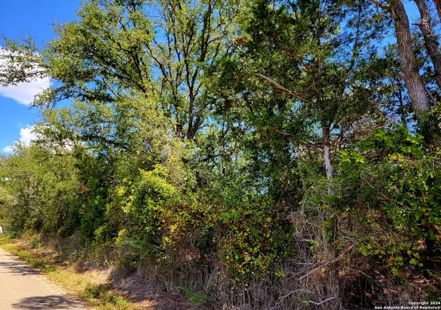 5th image of Tbd Dale Ln, Dale, TX 78616 | MLS# 1805833