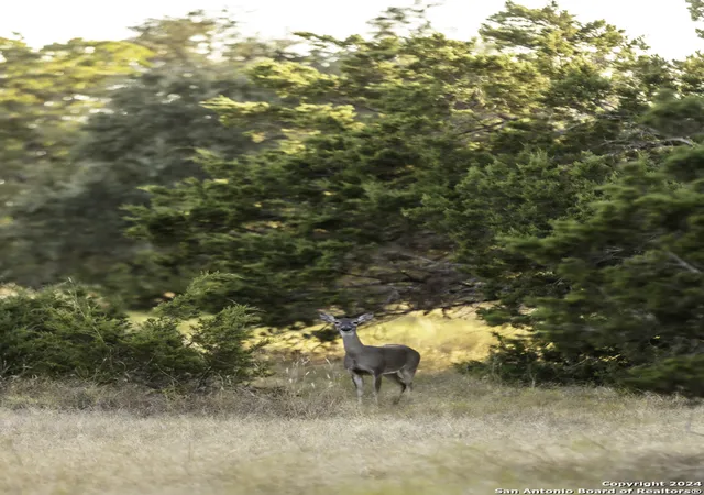 Photo 2 of Land for sale at Tbd Herbert Schaefer, Fredericksburg, TX 78624 | MLS# 1806053 | Listing updated on 2026-04-24