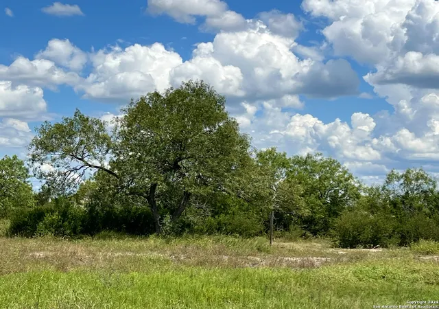 Photo 2 of Land for sale at O County Road 116, George West, TX 78022 | MLS# 1806105 | Listing updated on 2025-08-15