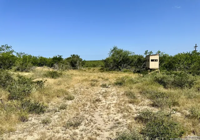 Photo 4 of Land for sale at O County Road 116, George West, TX 78022 | MLS# 1806105 | Listing updated on 2025-08-15