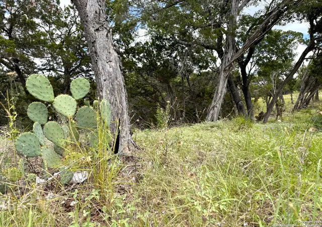 Photo 1 of Land for sale at 1220 Lakeside Dr, Canyon Lake, TX 78133 | MLS# 1806345 | Listing updated on 2026-05-31