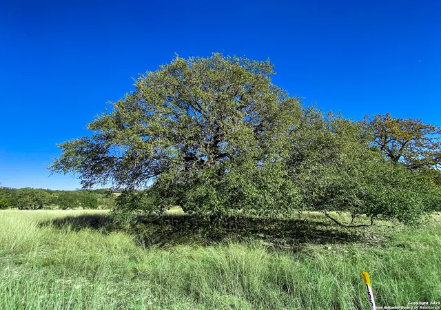 Photo 2 of Land for sale at Lot 155 Loma Vista Ranch, Kerrville, TX 78028 | MLS# 1808302 | Listing updated on 2025-08-18