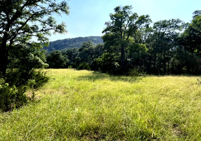 1st image of 2150 The Low Rd, San Marcos, TX 78666 | MLS# 1808691
