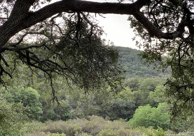 3rd image of 2366 The Low Rd, San Marcos, TX 78666 | MLS# 1808702
