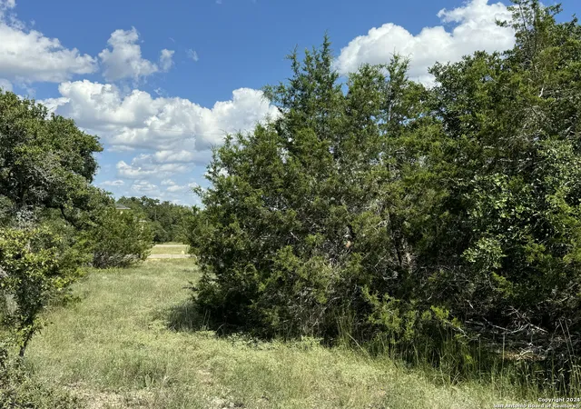 17th image of 114 Peter Kleid Loop, Blanco, TX 78606 | MLS# 1808848
