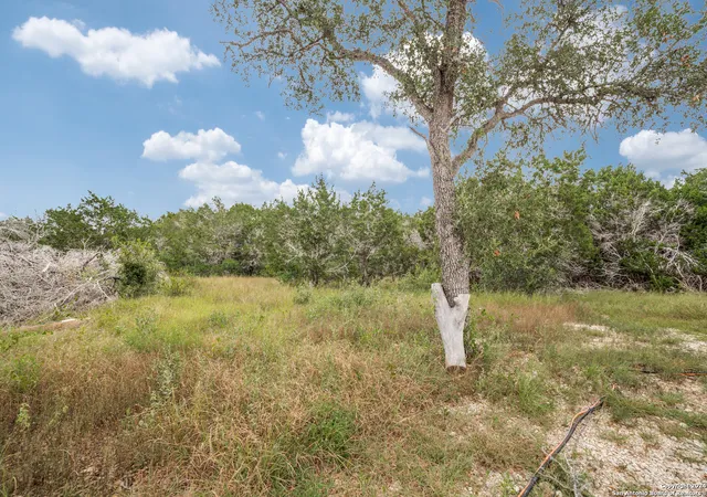 5th image of 175 County Road 2758, Mico, TX 78056 | MLS# 1809491
