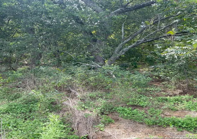 Photo 4 of Land for sale at 1711 S Loop 1604 E, San Antonio, TX 78264 | MLS# 1809946 | Listing updated on 2026-01-24