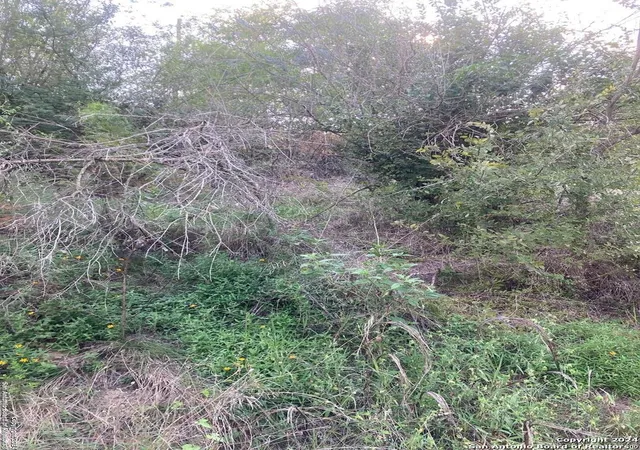 Photo 3 of Land for sale at 3606 Bob Billa, San Antonio, TX 78223 | MLS# 1810158 | Listing updated on 2025-12-26