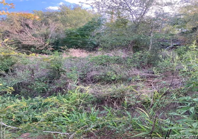 Photo 3 of Land for sale at 3606 Bob Billa, San Antonio, TX 78223 | MLS# 1810158 | Listing updated on 2025-12-26