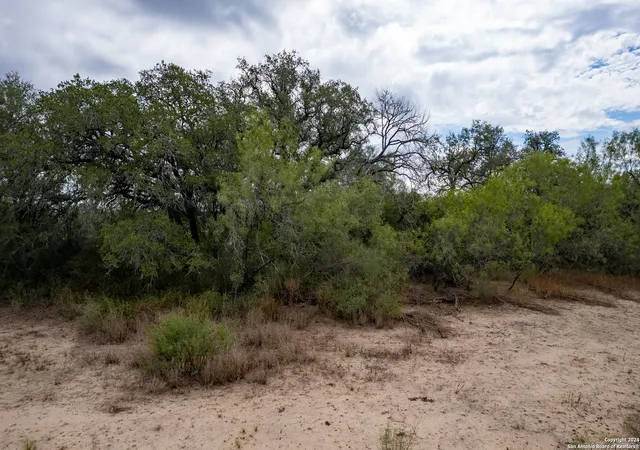 2nd image of 0 Pr 2743, Moore, TX 78057 | MLS# 1810940