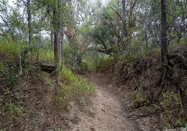 5th image of 0 Pr 2743, Moore, TX 78057 | MLS# 1810940