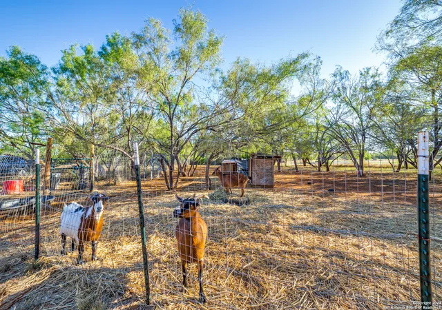 36th image of 8180 Fm 2146, Jourdanton, TX 78026 | MLS# 1812772