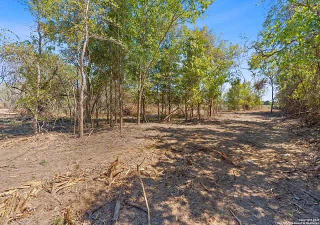 2nd image of Lot 7 Tumbleweed Trail, Dale, TX 78616 | MLS# 1813001