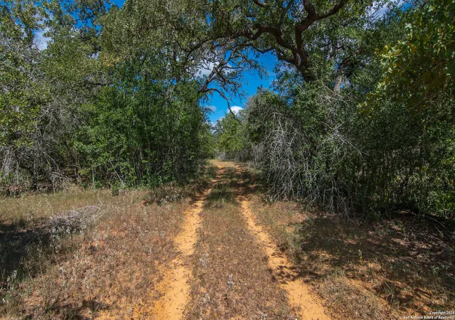 Photo 1 of Land for sale at Tbd County Road 434, Stockdale, TX 78155 | MLS# 1813403 | Listing updated on 2026-06-28