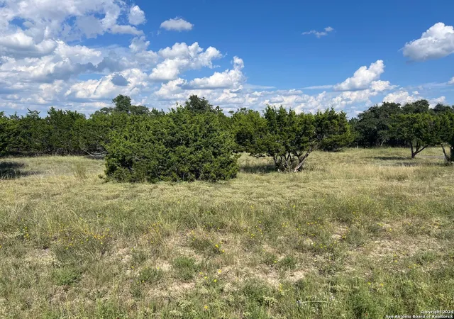 1st image of 317 Bosque Ridge, Spring Branch, TX 78070 | MLS# 1813798